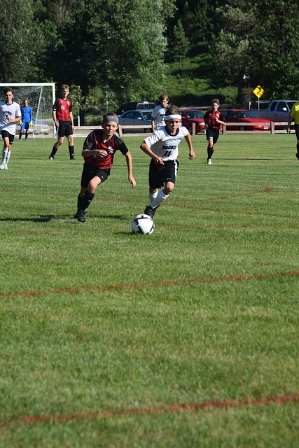 我们不能忽 我们不能忽