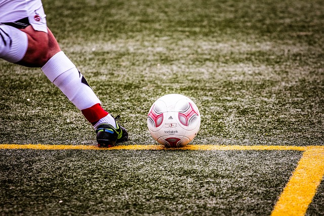 系列的每一 系列的每一