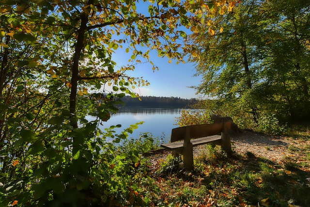 的未來戰略 的未來戰略