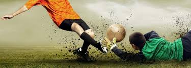 是生态系统 是生态系统