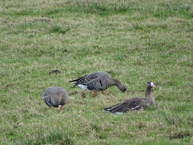这场比赛吸 这场比赛吸