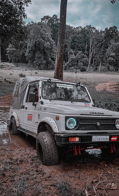 国家德比 国家德比