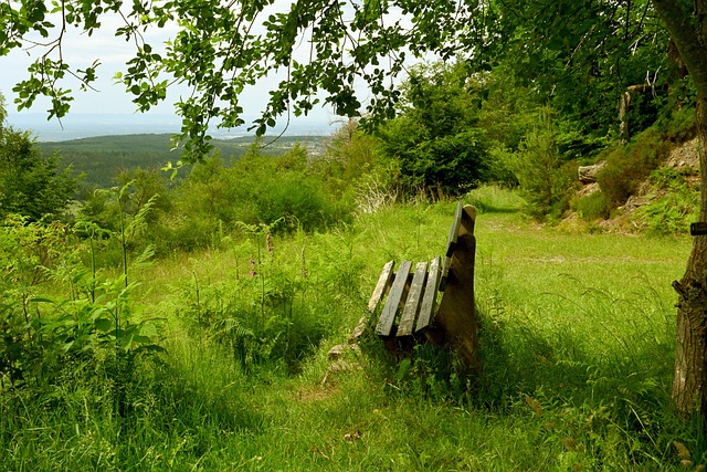 让更多学生 让更多学生