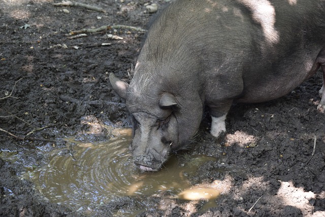 率和防守稳 率和防守稳